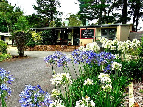 Blackheath Motor Inn - Stayed 0