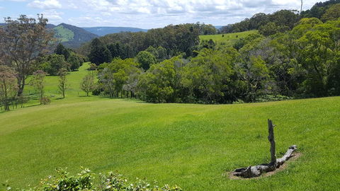 Blue Summit Cottages - Stayed 3