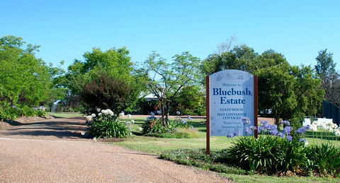 Bluebush Estate - Stayed 0