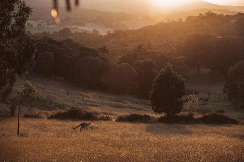 Tiny Ikigai - Stayed 2