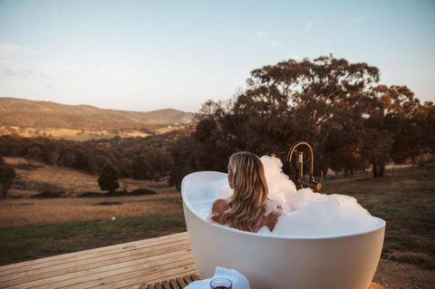 Tiny Ikigai - Stayed 0