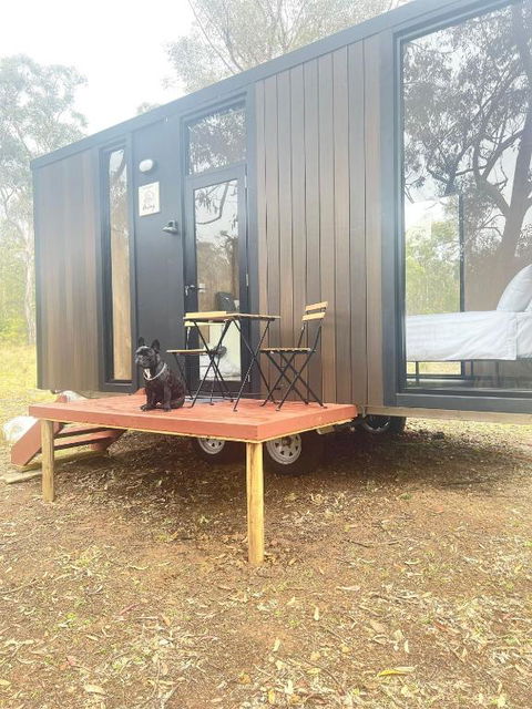 Whispering Wallaby By Tiny Away - Stays Accommodation 1