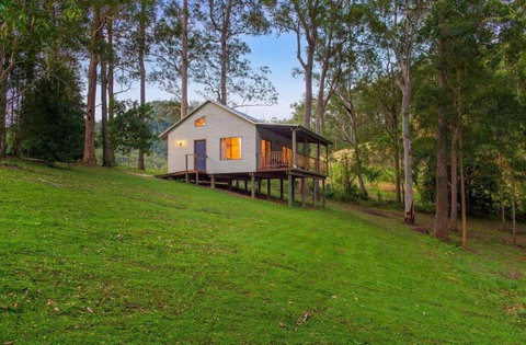 Yulo Kopa - Stayed 0