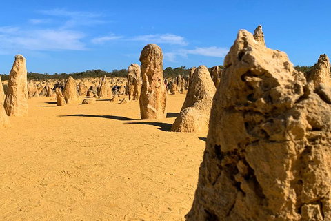 Pinnacles Desert (Private) Day Tour - Stayed 0
