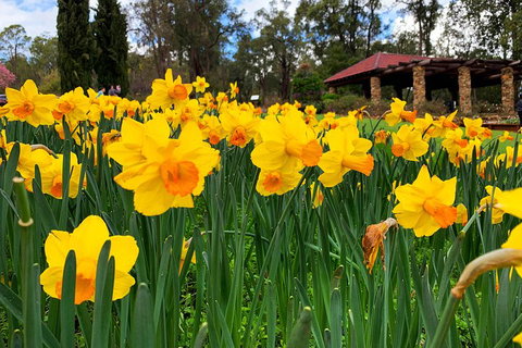 Spring Wildflower (Private) Day Tours - Stayed 1