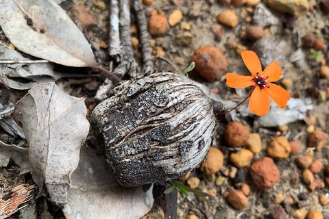 Spring Wildflower (Private) Day Tours - Stayed 5