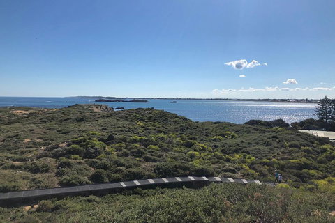 Penguin Island And Fremantle - Canoe, Chocolate & Coffee - Stayed 0