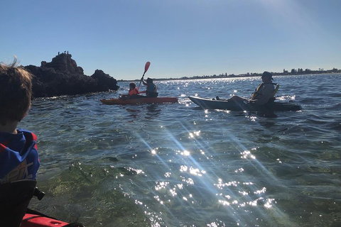 Penguin Island And Fremantle - Canoe, Chocolate & Coffee - Stayed 1