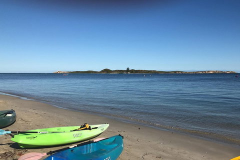 Penguin Island And Fremantle - Canoe, Chocolate & Coffee - Stayed 2