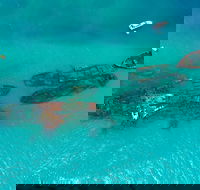 Private Tangalooma Wrecks Tour - Stayed