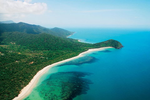 Cape Tribulation, Mossman Gorge, And Daintree Rainforest Premium Day Tour - Stayed 2