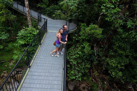 Cape Tribulation, Mossman Gorge, And Daintree Rainforest Premium Day Tour - Stayed 3