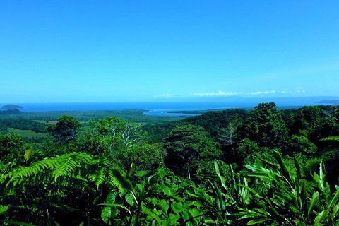 Cape Tribulation, Mossman Gorge, And Daintree Rainforest Premium Day Tour - Stayed 5