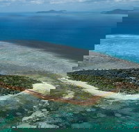 4-Day Cairns with Great Barrier Reef and Daintree Rainforest - Stayed