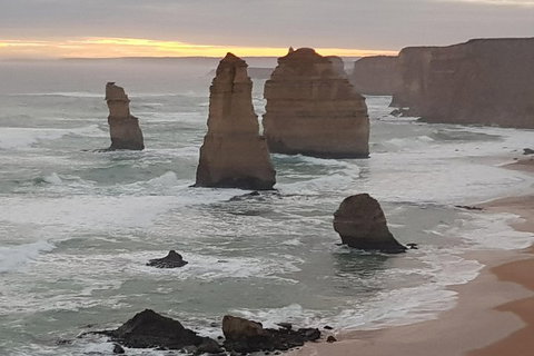 Private Express Experience - 12 Apostles - Stayed 1