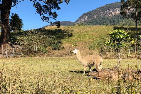 Waterfall Tour - Stayed 2
