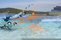 Book Viator Accommodation Vacations Stayed Stayed