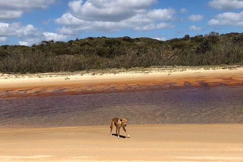 Pippies 3 Days 2 Nights Fraser Island Tour - Stayed 2