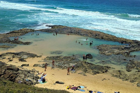 Pippies 3 Days 2 Nights Fraser Island Tour - Stayed 5