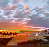 1 Hour Broome Sunset Camel Tour