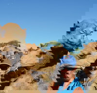 Broome Pre-sunset Camel Tour 30 minutes