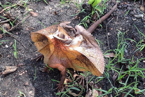 Litchfield National Park And Jumping Crocodile Cruise - Stays Accommodation 1