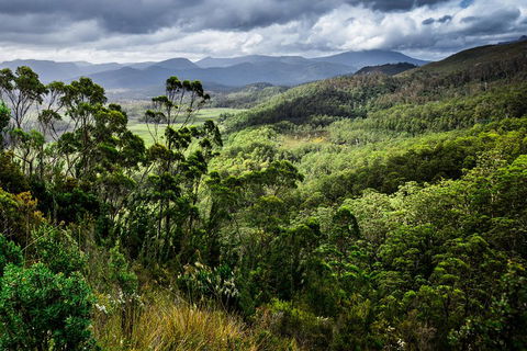 5-Day Lap Of Tasmania Tour From Hobart (flexible Ticket) - Stayed 2