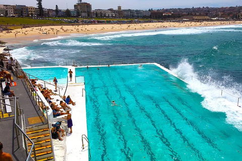Private Sydney Half Day Tour Including Sydney Opera House And Bondi Beach - Stayed 1