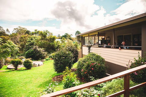 Full-day Springbrook National Park Tour From The Gold Coast - Stayed 2
