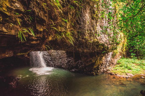 Full-day Springbrook National Park Tour From The Gold Coast - Stayed 4