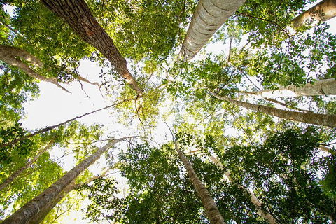 Fraser Island 4WD Tour From Noosa - Stayed 0