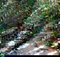 Fraser Island 4WD Tour from Rainbow Beach - Stayed