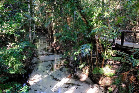 Fraser Island 4WD Tour From Rainbow Beach - Stayed 0