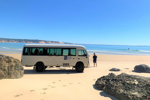 Kayak With Dolphins And 4WD Great Beach Drive Day Trip From Noosa - Stayed 4