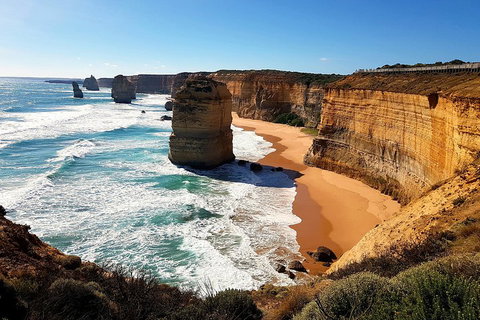 Helicopter Flight + Fine Dining Private Luxury Great Ocean Road Tour - Stayed 4