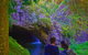 Natural Arch, Rainforest & Volcano Canyon - Private Half Day Tour - thumb 4