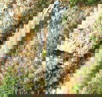 Private Tour - Rainforest  Waterfalls Extravaganza - Stayed