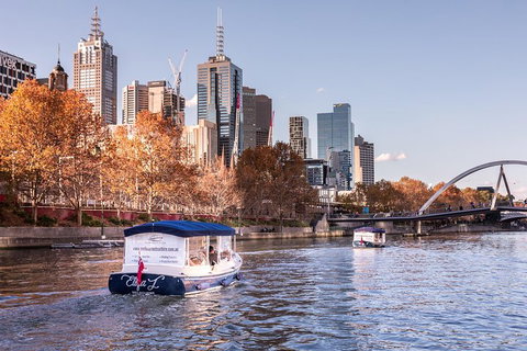 2-Hour Self-Drive Boat Hire On The Yarra River - Stayed 3