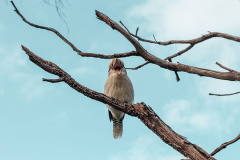 Highlights Of Kings Park - Stayed 0