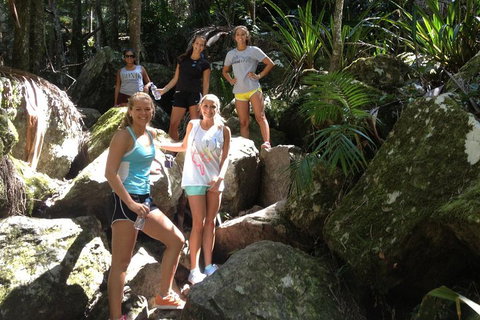 Byron Bay Hinterland Tour Including Rainforest Walk To Minyon Falls - Stayed 3