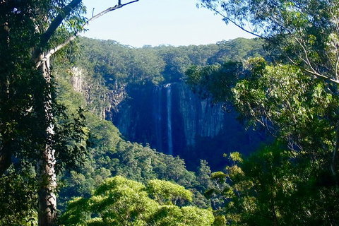 Byron Bay Hinterland Tour Including Rainforest Walk To Minyon Falls - Stayed 4