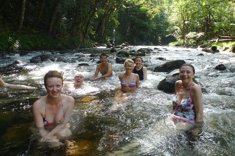 Daintree Rainforest, Cape Tribulation, Mossman Gorge Small-Group Day Tour - Stayed 0