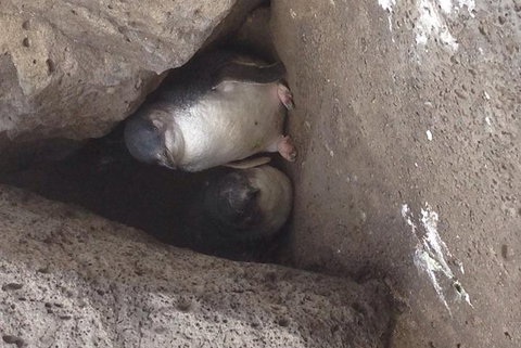 Food Tour Melbourne - St Kilda - Stayed 3