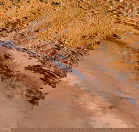 Scenic Flight Lizard Safari - Stays Accommodation