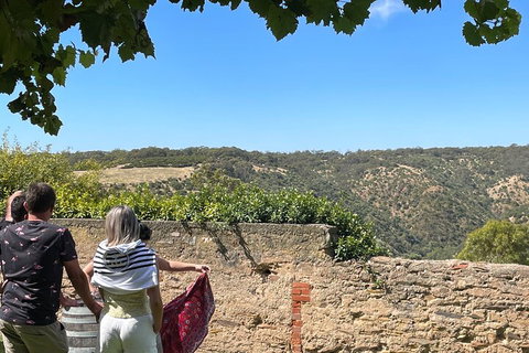 Private Mclaren Vale Wine Tour - Stayed 2