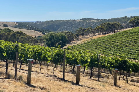 Private Mclaren Vale Wine Tour - Stayed 3