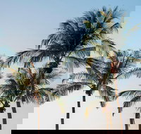 Darwin City Sightseeing Tour - Stayed