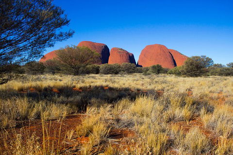 Kata Tjuta Sunrise And Valley Of The Winds Half-Day Trip - Stays Accommodation 1