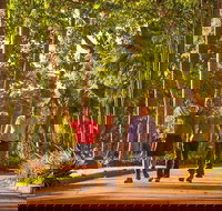 Darwin City Sights and Jumping Crocodile Cruise - Stayed