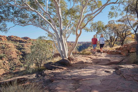 3-Day Tour From Uluru (Ayers Rock) To Alice Springs Via Kings Canyon - Stays Accommodation 1